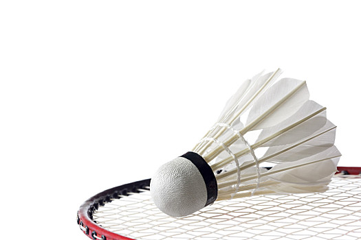 群雄逐鹿 群雄逐鹿