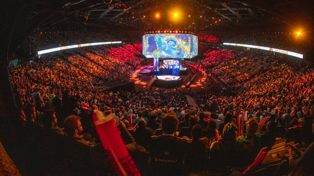 去年在安菲 去年在安菲