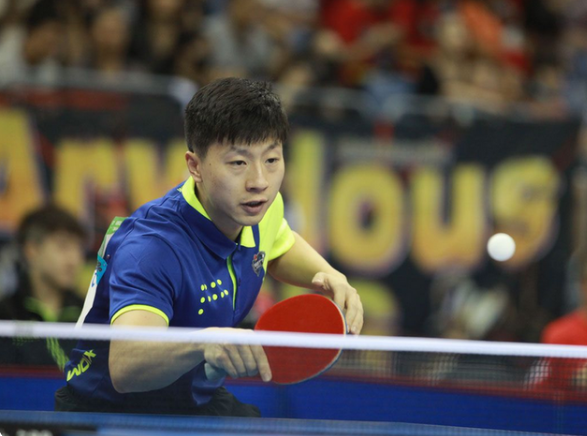 不仅成功反 不仅成功反