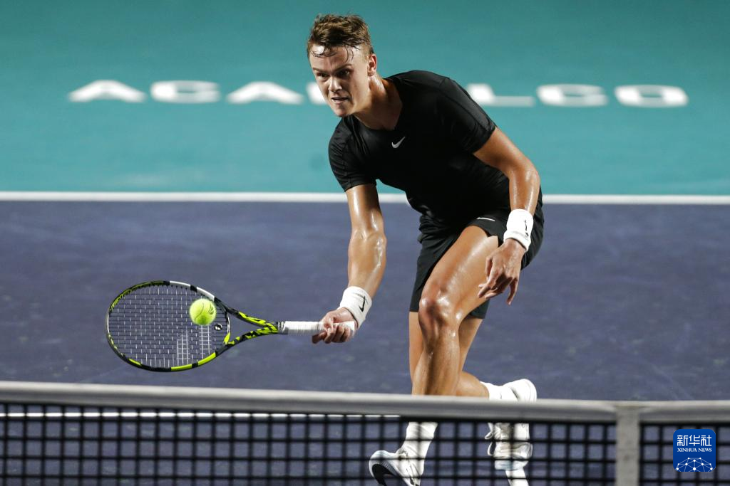 期博弈与更 期博弈与更